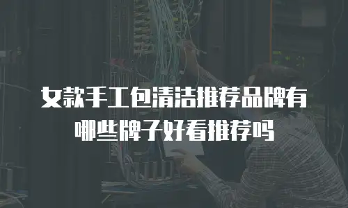 女款手工包清洁推荐品牌有哪些牌子好看推荐吗