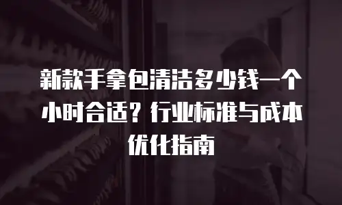 新款手拿包清洁多少钱一个小时合适？行业标准与成本优化指南