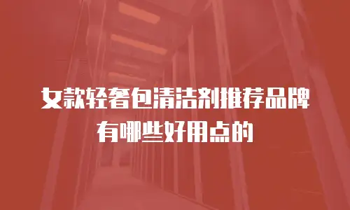 女款轻奢包清洁剂推荐品牌有哪些好用点的
