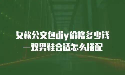 女款公文包diy价格多少钱 一双男鞋合适怎么搭配
