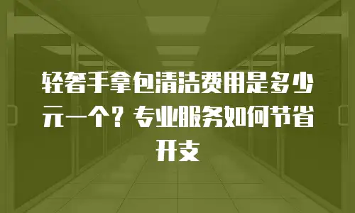 轻奢手拿包清洁费用是多少元一个？专业服务如何节省开支