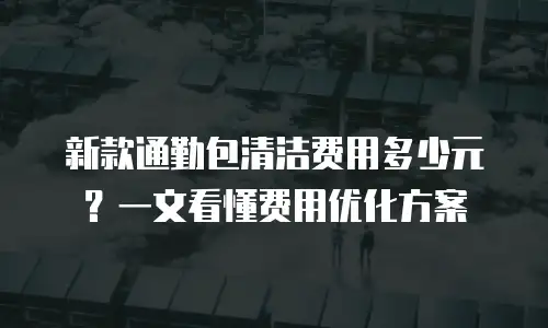 新款通勤包清洁费用多少元？一文看懂费用优化方案