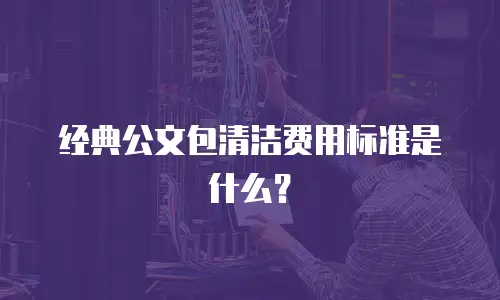 经典公文包清洁费用标准是什么？