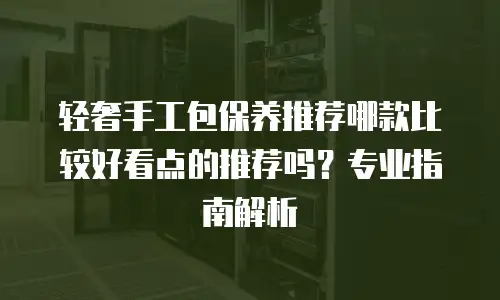 轻奢手工包保养推荐哪款比较好看点的推荐吗？专业指南解析