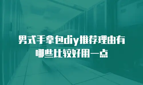 男式手拿包diy推荐理由有哪些比较好用一点