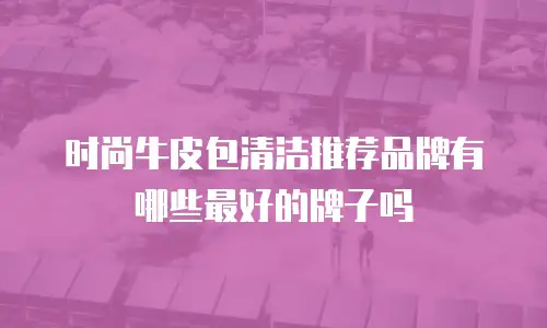 时尚牛皮包清洁推荐品牌有哪些最好的牌子吗