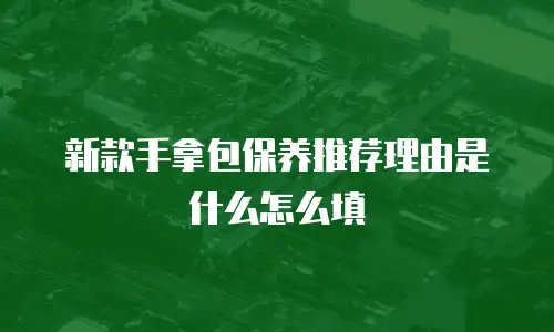 新款手拿包保养推荐理由是什么怎么填