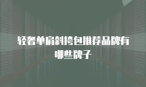 轻奢单肩斜挎包推荐品牌有哪些牌子