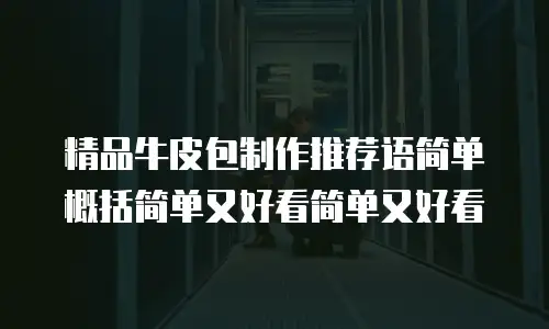 精品牛皮包制作推荐语简单概括简单又好看简单又好看