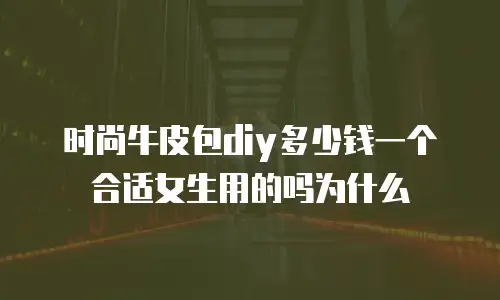 时尚牛皮包diy多少钱一个合适女生用的吗为什么