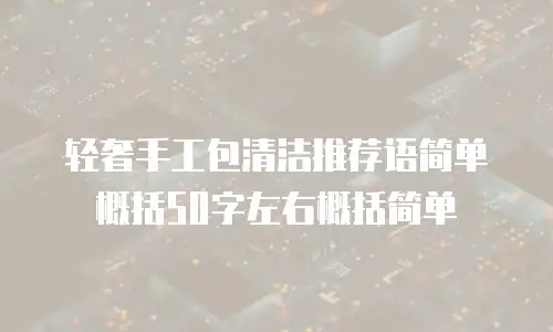 轻奢手工包清洁推荐语简单概括50字左右概括简单