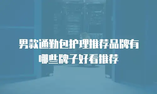 男款通勤包护理推荐品牌有哪些牌子好看推荐