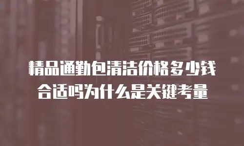 精品通勤包清洁价格多少钱合适吗为什么是关键考量