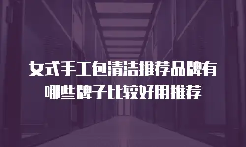 女式手工包清洁推荐品牌有哪些牌子比较好用推荐