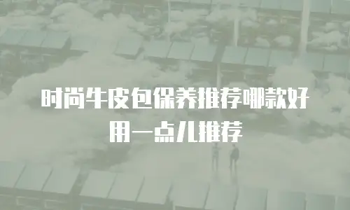 时尚牛皮包保养推荐哪款好用一点儿推荐