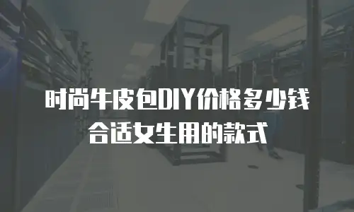 时尚牛皮包DIY价格多少钱合适女生用的款式