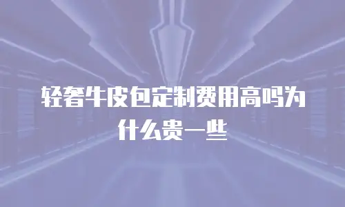 轻奢牛皮包定制费用高吗为什么贵一些