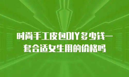 时尚手工皮包DIY多少钱一套合适女生用的价格吗