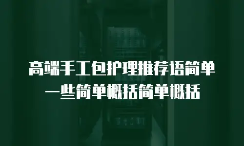 高端手工包护理推荐语简单一些简单概括简单概括