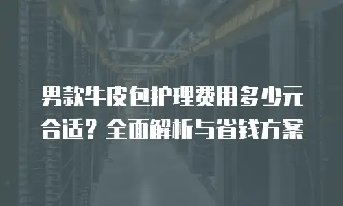 男款牛皮包护理费用多少元合适？全面解析与省钱方案
