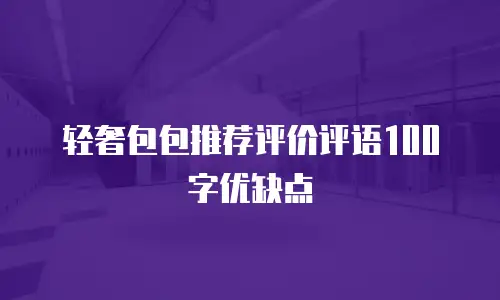 轻奢包包推荐评价评语100字优缺点