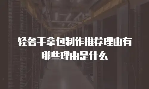 轻奢手拿包制作推荐理由有哪些理由是什么
