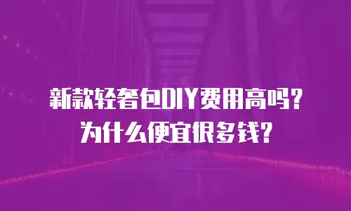 新款轻奢包DIY费用高吗？为什么便宜很多钱？