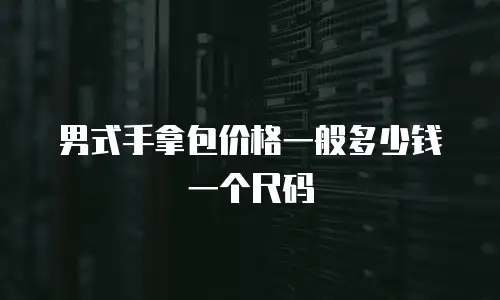 男式手拿包价格一般多少钱一个尺码