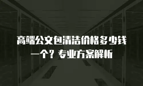 高端公文包清洁价格多少钱一个？专业方案解析