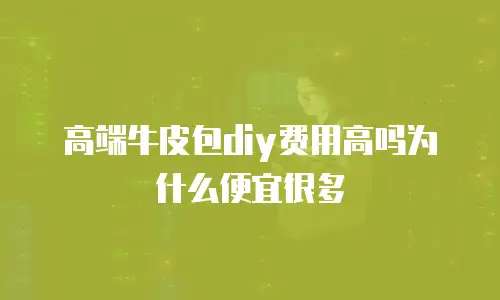 高端牛皮包diy费用高吗为什么便宜很多