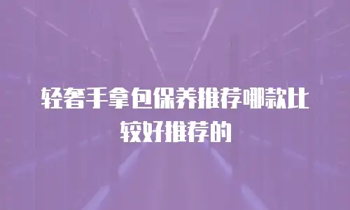 轻奢手拿包保养推荐哪款比较好推荐的