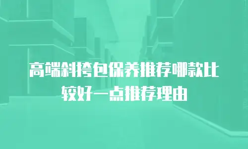 高端斜挎包保养推荐哪款比较好一点推荐理由