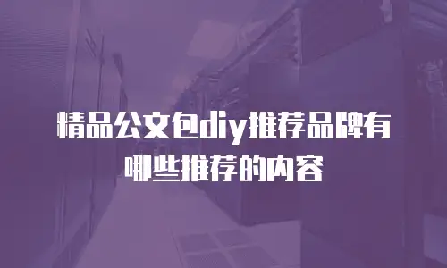 精品公文包diy推荐品牌有哪些推荐的内容