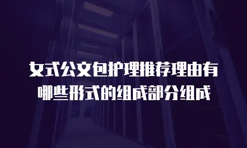 女式公文包护理推荐理由有哪些形式的组成部分组成