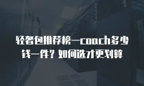 轻奢包推荐榜一coach多少钱一件？如何选才更划算