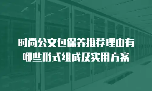 时尚公文包保养推荐理由有哪些形式组成及实用方案