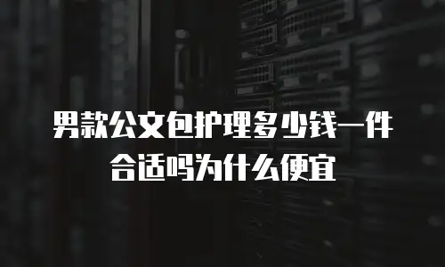 男款公文包护理多少钱一件合适吗为什么便宜