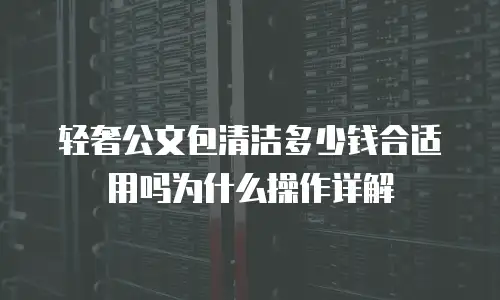轻奢公文包清洁多少钱合适用吗为什么操作详解