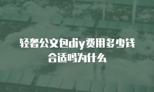 轻奢公文包diy费用多少钱合适吗为什么