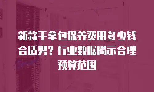 新款手拿包保养费用多少钱合适男？行业数据揭示合理预算范围