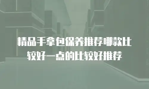 精品手拿包保养推荐哪款比较好一点的比较好推荐