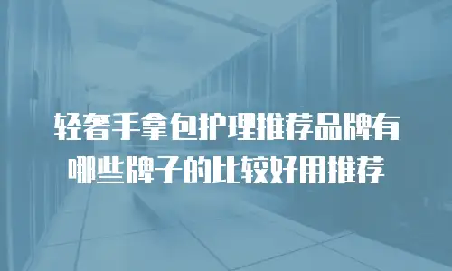 轻奢手拿包护理推荐品牌有哪些牌子的比较好用推荐