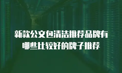 新款公文包清洁推荐品牌有哪些比较好的牌子推荐