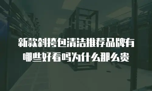 新款斜挎包清洁推荐品牌有哪些好看吗为什么那么贵