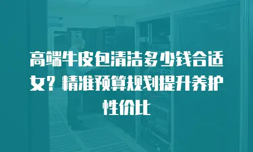 高端牛皮包清洁多少钱合适女？精准预算规划提升养护性价比