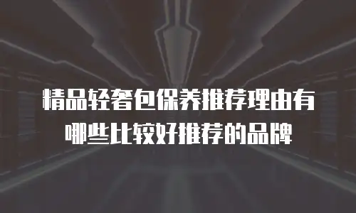 精品轻奢包保养推荐理由有哪些比较好推荐的品牌