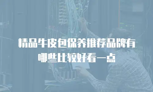 精品牛皮包保养推荐品牌有哪些比较好看一点
