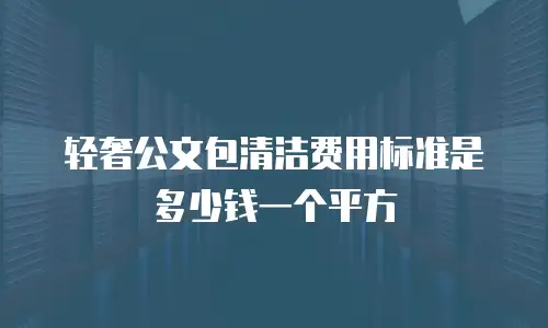 轻奢公文包清洁费用标准是多少钱一个平方