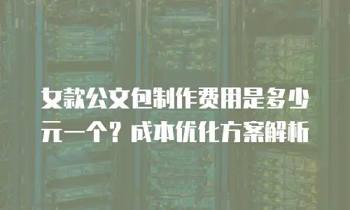 女款公文包制作费用是多少元一个？成本优化方案解析