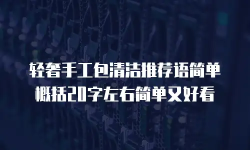 轻奢手工包清洁推荐语简单概括20字左右简单又好看